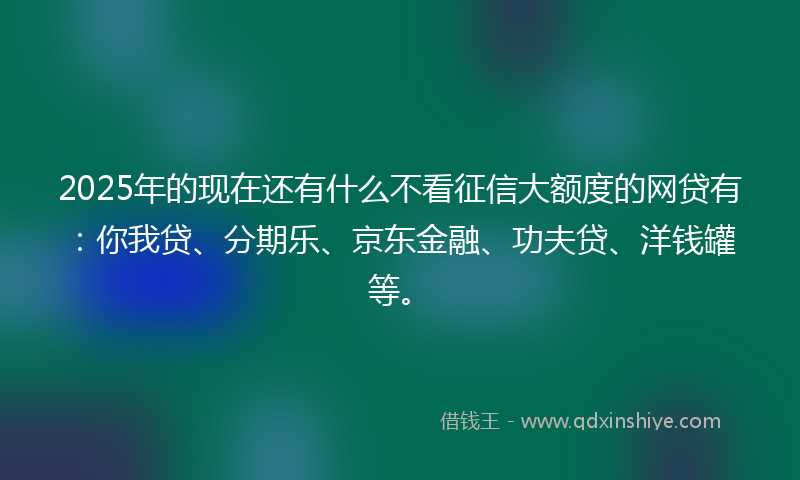 2025年的现在还有什么不看征信大额度的网贷有：你我贷、分期乐、京东金融、功夫贷、洋钱罐等。