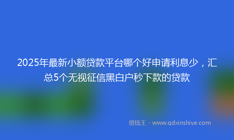 2025年最新小额贷款平台哪个好申请利息少，汇总5个无视征信黑白户秒下款的贷款