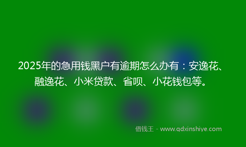 2025年的急用钱黑户有逾期怎么办有：安逸花、融逸花、小米贷款、省呗、小花钱包等。