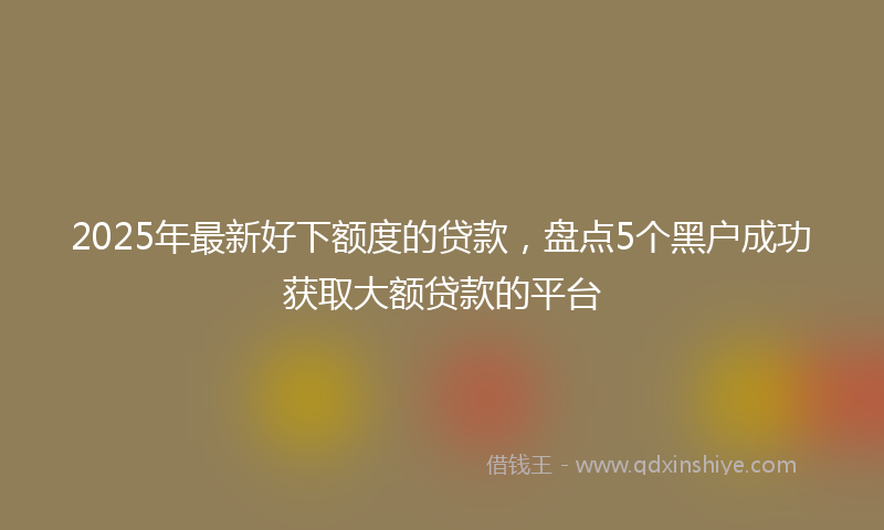 2025年最新好下额度的贷款，盘点5个黑户成功获取大额贷款的平台