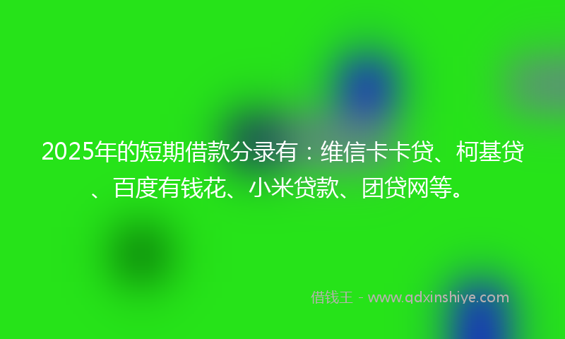 2025年的短期借款分录有：维信卡卡贷、柯基贷、百度有钱花、小米贷款、团贷网等。