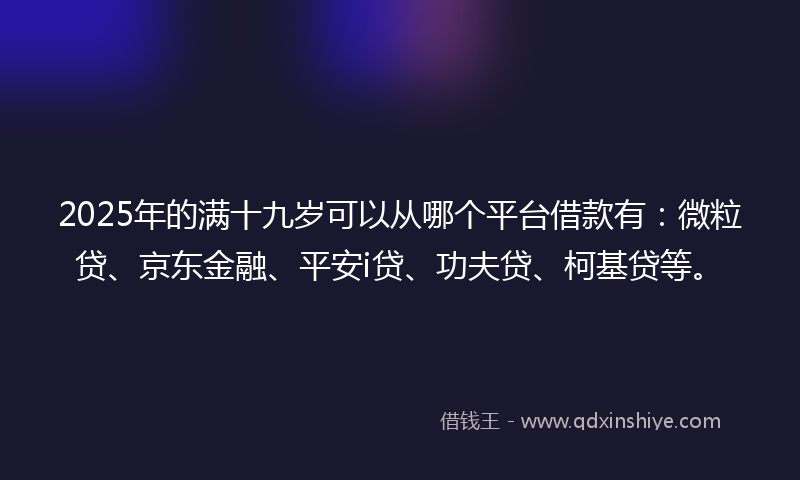 2025年的满十九岁可以从哪个平台借款有：微粒贷、京东金融、平安i贷、功夫贷、柯基贷等。