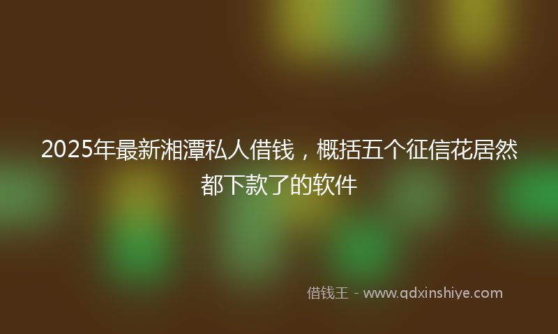 2025年最新湘潭私人借钱，概括五个征信花居然都下款了的软件