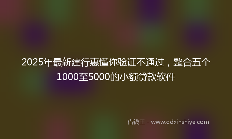 2025年最新建行惠懂你验证不通过，整合五个1000至5000的小额贷款软件