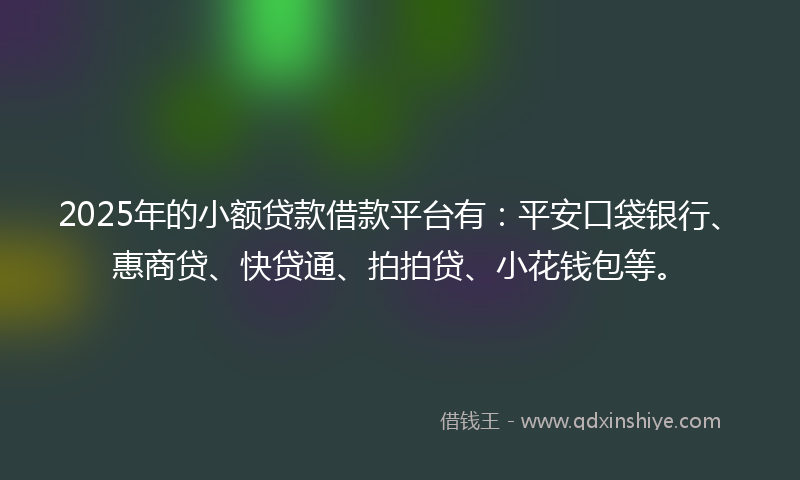 2025年的小额贷款借款平台有：平安口袋银行、惠商贷、快贷通、拍拍贷、小花钱包等。