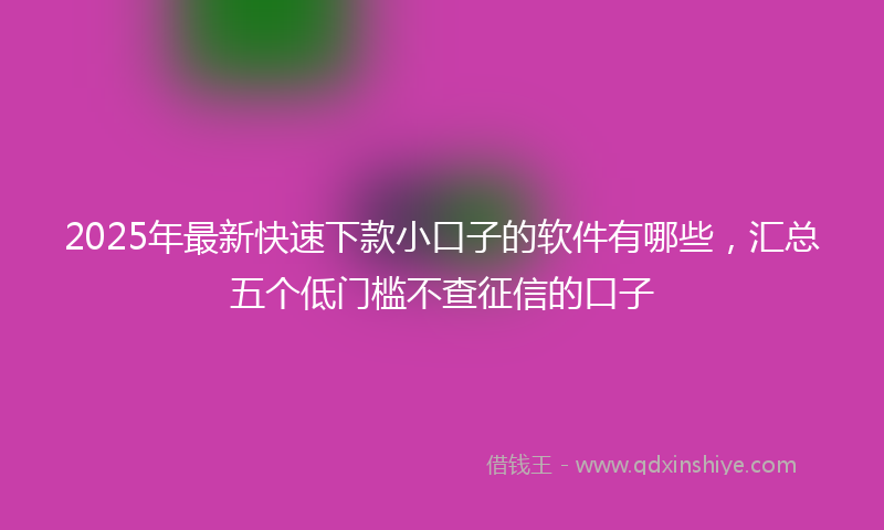 2025年最新快速下款小口子的软件有哪些，汇总五个低门槛不查征信的口子