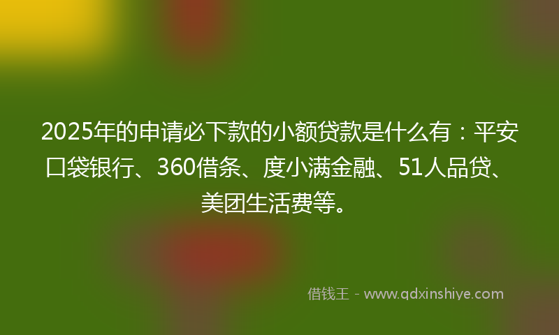 2025年的申请必下款的小额贷款是什么有：平安口袋银行、360借条、度小满金融、51人品贷、美团生活费等。