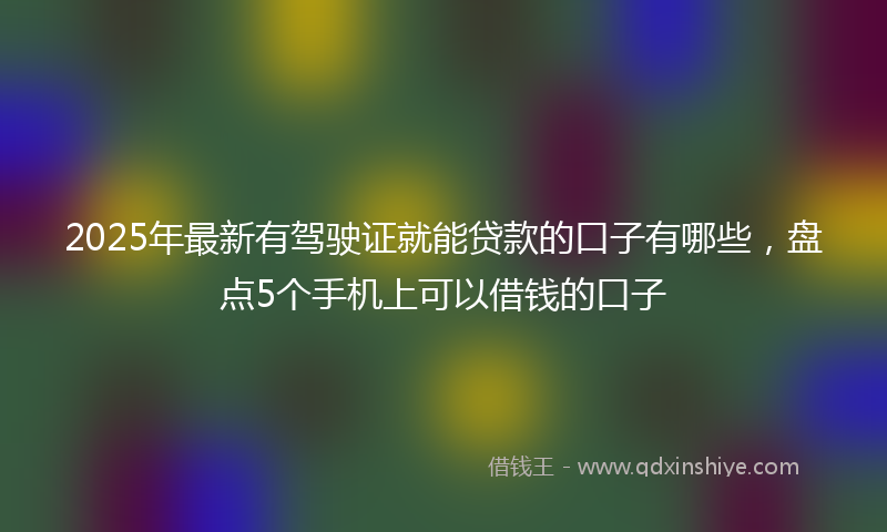 2025年最新有驾驶证就能贷款的口子有哪些，盘点5个手机上可以借钱的口子
