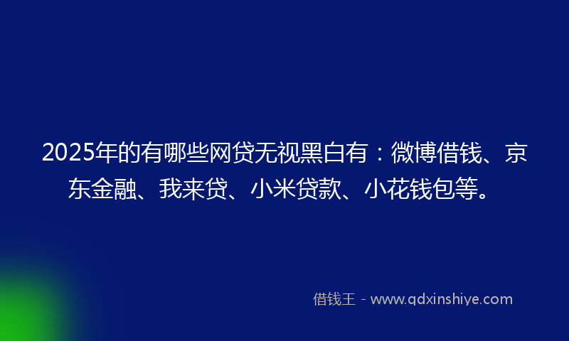 2025年的有哪些网贷无视黑白有：微博借钱、京东金融、我来贷、小米贷款、小花钱包等。