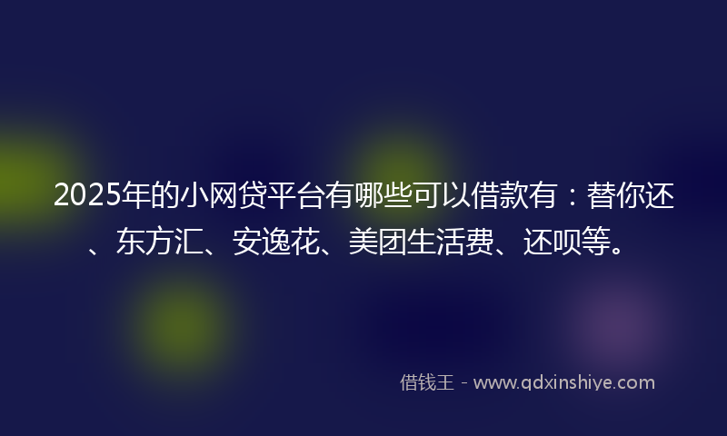 2025年的小网贷平台有哪些可以借款有：替你还、东方汇、安逸花、美团生活费、还呗等。