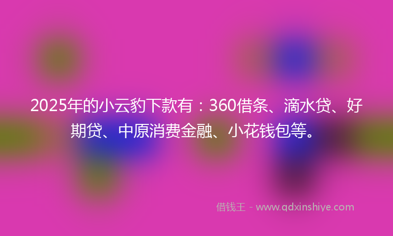 2025年的小云豹下款有：360借条、滴水贷、好期贷、中原消费金融、小花钱包等。
