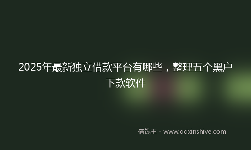 2025年最新独立借款平台有哪些，整理五个黑户下款软件