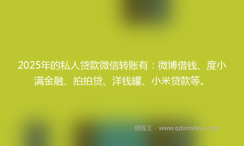 2025年的私人贷款微信转账有：微博借钱、度小满金融、拍拍贷、洋钱罐、小米贷款等。