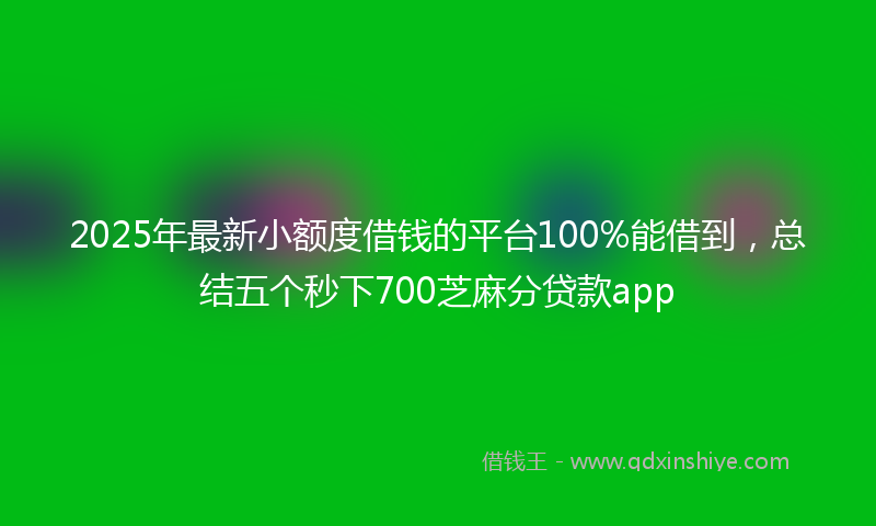 2025年最新小额度借钱的平台100%能借到，总结五个秒下700芝麻分贷款app
