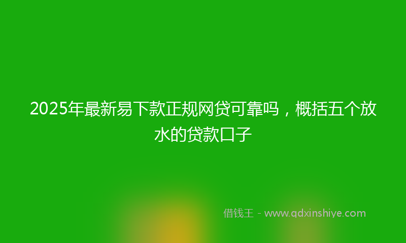 2025年最新易下款正规网贷可靠吗，概括五个放水的贷款口子