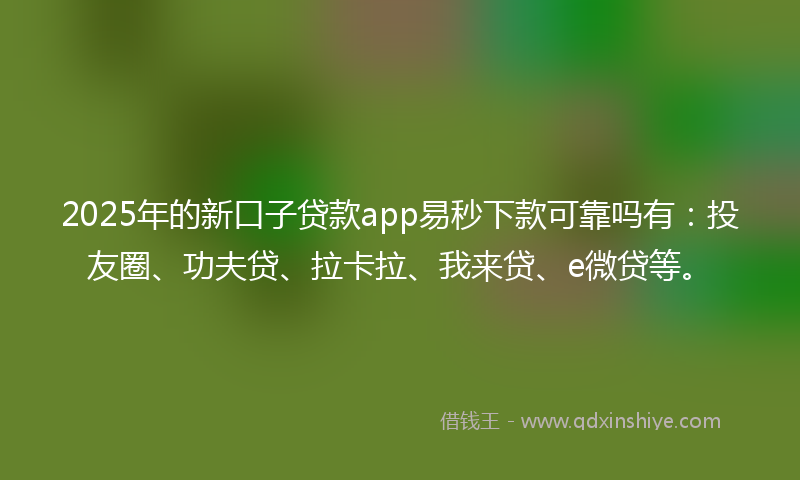 2025年的新口子贷款app易秒下款可靠吗有：投友圈、功夫贷、拉卡拉、我来贷、e微贷等。