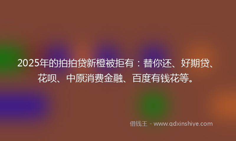 2025年的拍拍贷新橙被拒有：替你还、好期贷、花呗、中原消费金融、百度有钱花等。