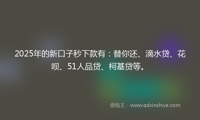 2025年的新口子秒下款有：替你还、滴水贷、花呗、51人品贷、柯基贷等。