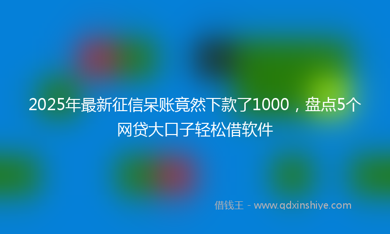 2025年最新征信呆账竟然下款了1000，盘点5个网贷大口子轻松借软件