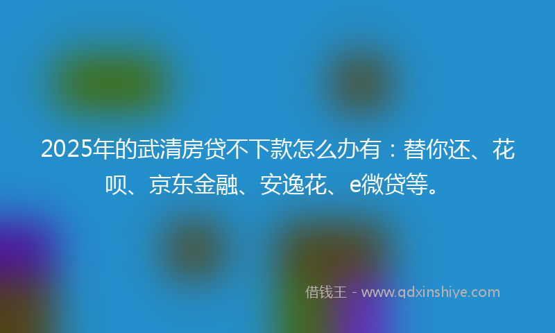 2025年的武清房贷不下款怎么办有：替你还、花呗、京东金融、安逸花、e微贷等。