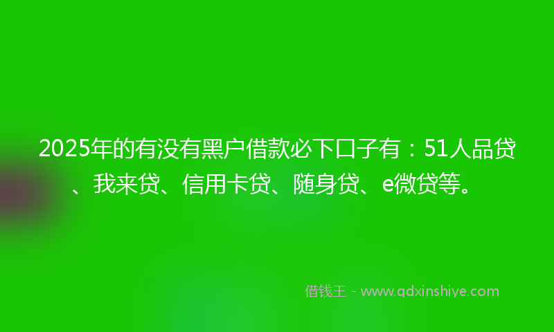 2025年的有没有黑户借款必下口子有：51人品贷、我来贷、信用卡贷、随身贷、e微贷等。