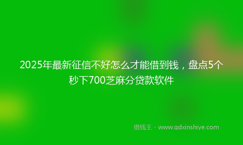 2025年最新征信不好怎么才能借到钱，盘点5个秒下700芝麻分贷款软件