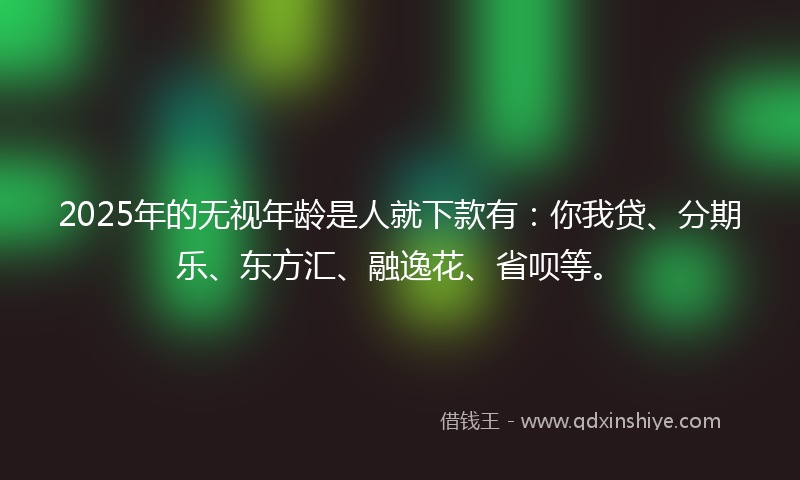 2025年的无视年龄是人就下款有：你我贷、分期乐、东方汇、融逸花、省呗等。