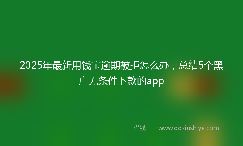 2025年最新用钱宝逾期被拒怎么办，总结5个黑户无条件下款的app