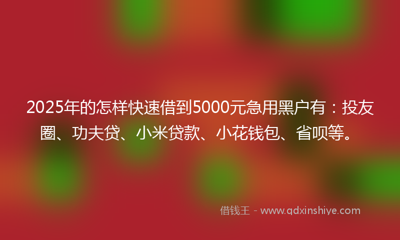 2025年的怎样快速借到5000元急用黑户有：投友圈、功夫贷、小米贷款、小花钱包、省呗等。