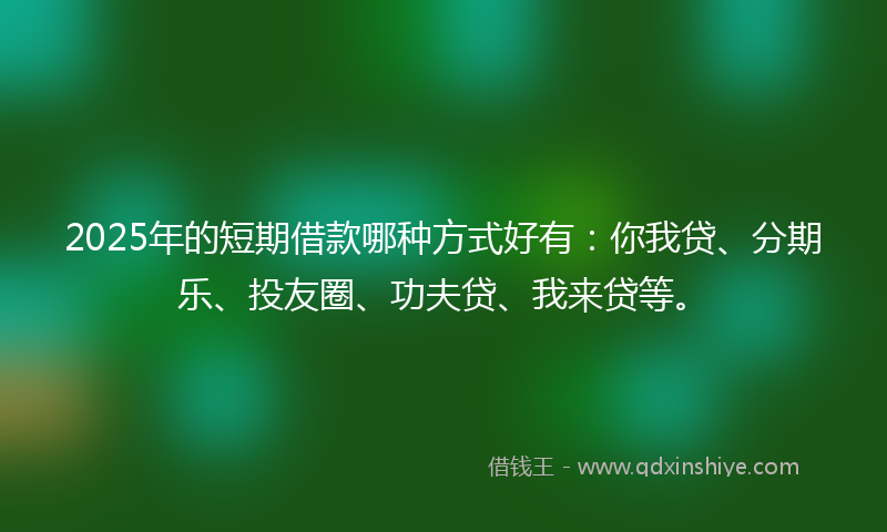 2025年的短期借款哪种方式好有：你我贷、分期乐、投友圈、功夫贷、我来贷等。