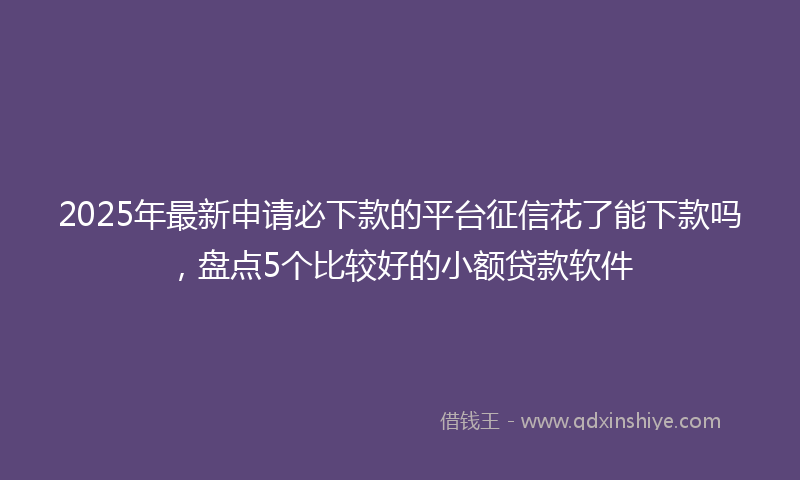 2025年最新申请必下款的平台征信花了能下款吗，盘点5个比较好的小额贷款软件