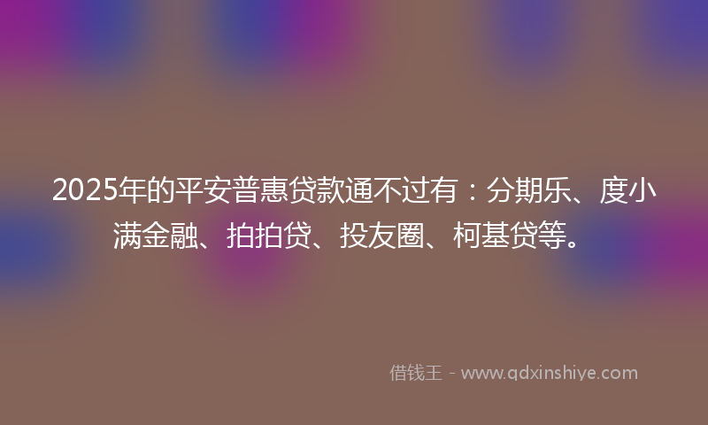 2025年的平安普惠贷款通不过有：分期乐、度小满金融、拍拍贷、投友圈、柯基贷等。