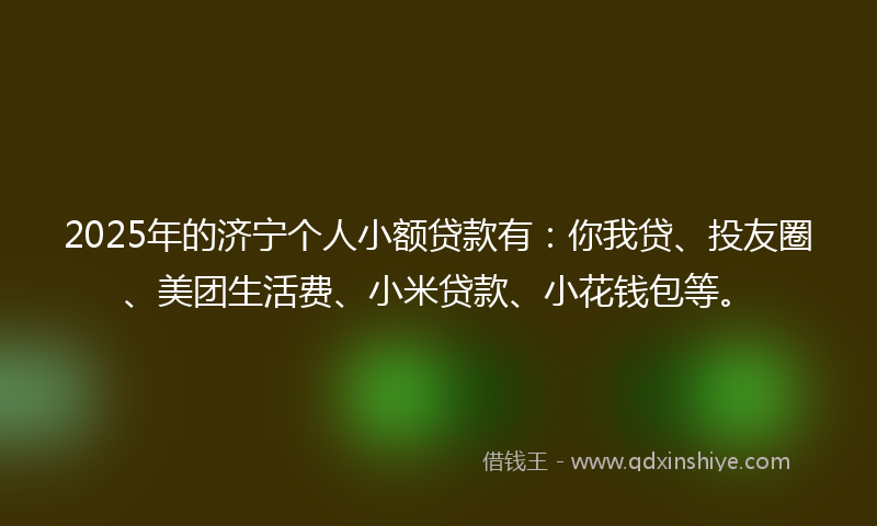 2025年的济宁个人小额贷款有：你我贷、投友圈、美团生活费、小米贷款、小花钱包等。