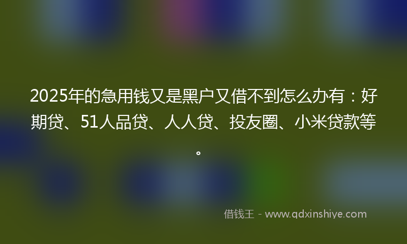 2025年的急用钱又是黑户又借不到怎么办有：好期贷、51人品贷、人人贷、投友圈、小米贷款等。