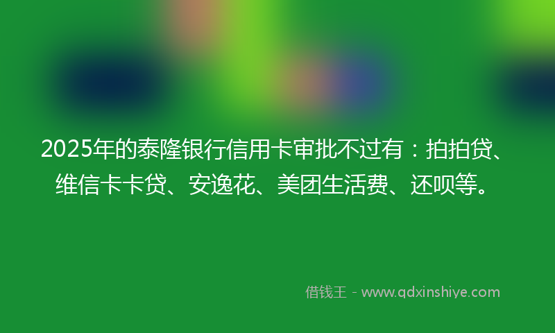 2025年的泰隆银行信用卡审批不过有：拍拍贷、维信卡卡贷、安逸花、美团生活费、还呗等。
