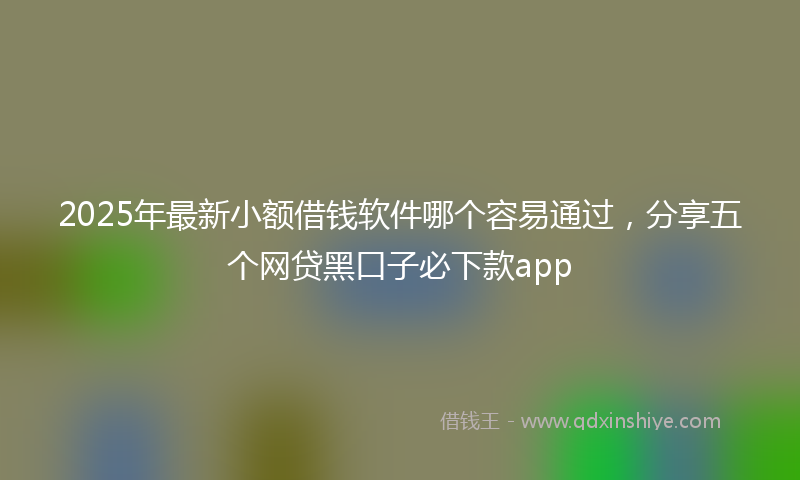 2025年最新小额借钱软件哪个容易通过，分享五个网贷黑口子必下款app