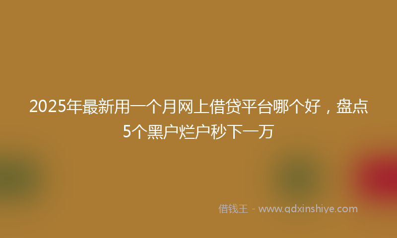 2025年最新用一个月网上借贷平台哪个好，盘点5个黑户烂户秒下一万