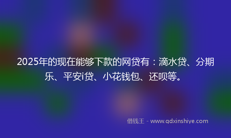 2025年的现在能够下款的网贷有：滴水贷、分期乐、平安i贷、小花钱包、还呗等。
