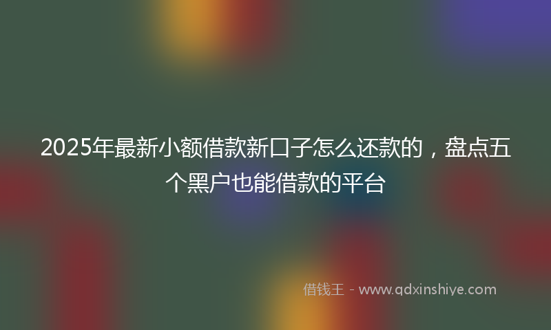 2025年最新小额借款新口子怎么还款的，盘点五个黑户也能借款的平台