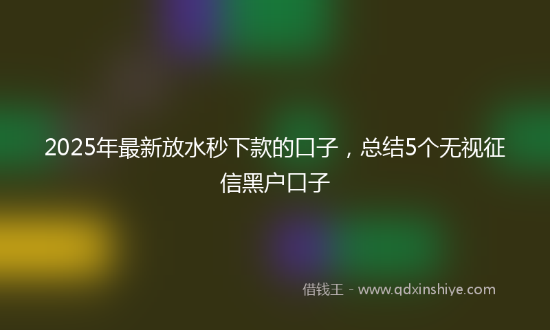 2025年最新放水秒下款的口子，总结5个无视征信黑户口子