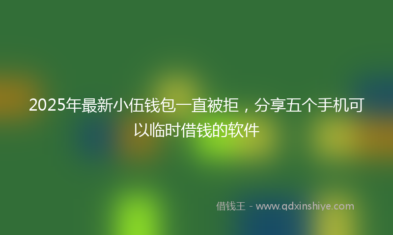 2025年最新小伍钱包一直被拒，分享五个手机可以临时借钱的软件