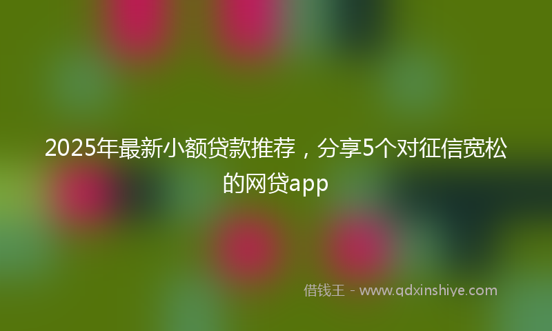 2025年最新小额贷款推荐，分享5个对征信宽松的网贷app