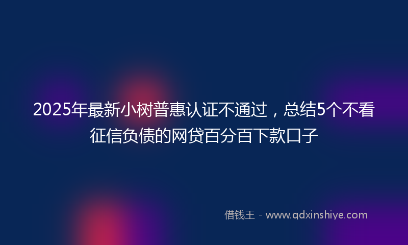 2025年最新小树普惠认证不通过，总结5个不看征信负债的网贷百分百下款口子