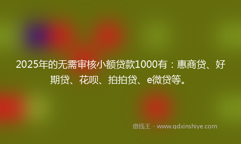 2025年的无需审核小额贷款1000有：惠商贷、好期贷、花呗、拍拍贷、e微贷等。