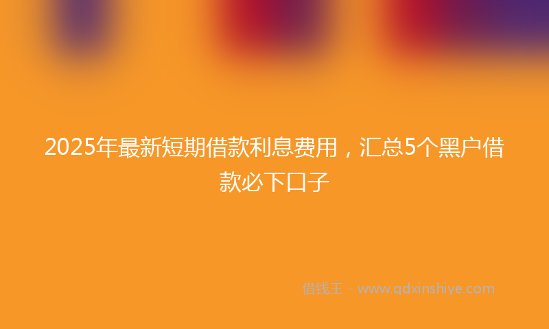 2025年最新短期借款利息费用，汇总5个黑户借款必下口子