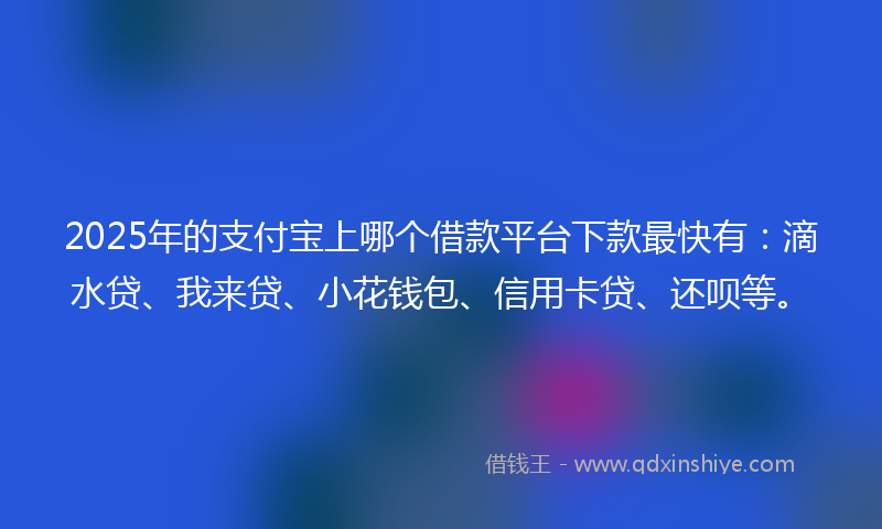 2025年的支付宝上哪个借款平台下款最快有：滴水贷、我来贷、小花钱包、信用卡贷、还呗等。