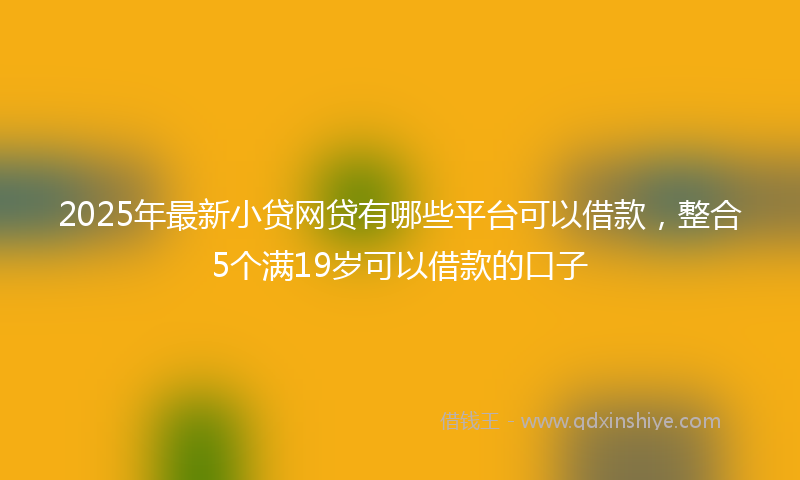 2025年最新小贷网贷有哪些平台可以借款，整合5个满19岁可以借款的口子