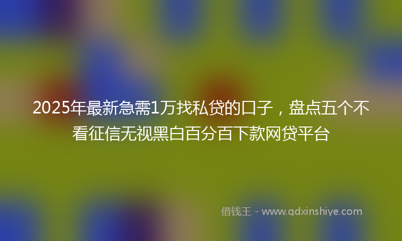 2025年最新急需1万找私贷的口子，盘点五个不看征信无视黑白百分百下款网贷平台