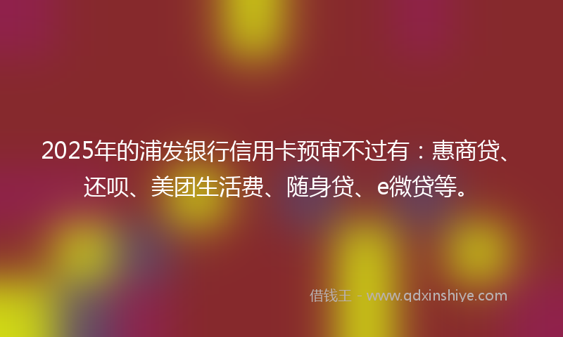2025年的浦发银行信用卡预审不过有：惠商贷、还呗、美团生活费、随身贷、e微贷等。