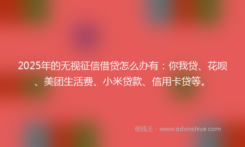 2025年的无视征信借贷怎么办有：你我贷、花呗、美团生活费、小米贷款、信用卡贷等。